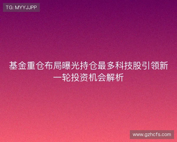 基金重仓布局曝光持仓最多科技股引领新一轮投资机会解析